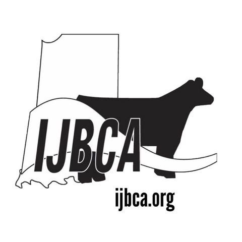 Indiana Junior Beef Cattle