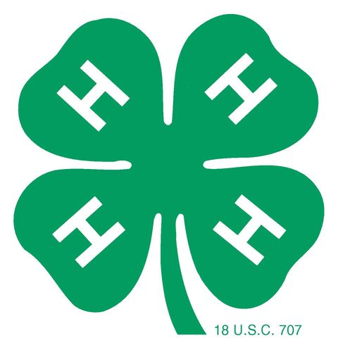 cass county 4h